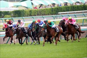 JRA北九州記念（G3）「仕切り直し」モズスーパーフレアの可能性？