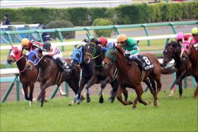 天皇賞・春（G1）”最強”藤原厩舎の刺客トーセンバジル覚醒！ 「世界最強」と互角に渡り合ったその「真の姿」とは