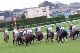 JRA「サマーマイル王筆頭」ロジクライが京成杯出走！秋のマイルG1に向け弾みつける？