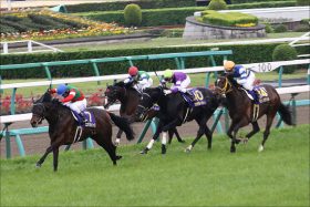 JRA「好走の血」エアアンセムで一攫千金!? オールカマーは「無難に走れる」ベテランで勝負？
