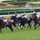 オールカマー(G2)「馬主孝行」ガンコで一発? ジェネラーレウーノに続く「先手」で上位確実?