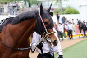 JRA「帰還・中山巧者」がオールカマー（G2）をかき乱す？ ミライヘノツバサ1年半ぶり登場