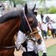 オールカマー(G2)「馬主孝行」ガンコで一発? ジェネラーレウーノに続く「先手」で上位確実?