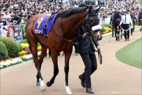 日本ダービー（G1）「忘却」オウケンムーンの一発はある？ 陣営の「鼻息」荒く!?