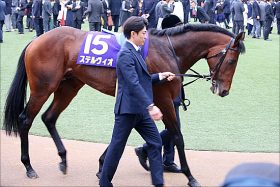 JRAクラシック善戦ステルヴィオ輩出レースに今年はブラックタイド産の大物？ コスモス賞に有力集結
