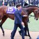 JRA中山記念(G2)ステルヴィオ「丸山元気」大抜擢の舞台裏!? 30日間騎乗停止「どん底」で”引退”発言から迎えた春