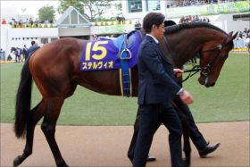 JRA毎日王冠（G2）ステルヴィオ「致命的」弱点発覚!? 日本ダービー惨敗の「本当の理由」はスタミナではなく……