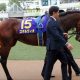 JRA中山記念(G2)ステルヴィオ「丸山元気」大抜擢の舞台裏!? 30日間騎乗停止「どん底」で”引退”発言から迎えた春