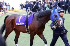 日本ダービー（G1）「最強1枠」タイムフライヤーが完全復活!? 松田国英調教師「これまでと雲泥の差」惨敗続きの”早熟”疑惑を一蹴！