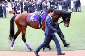 日本ダービー（G1）ワグネリアン皐月賞は「度外視」できる!? 「馬場」だけでない明確敗因と勝算