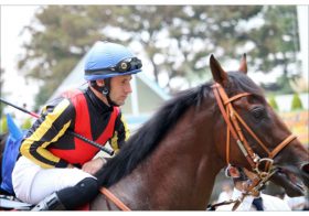 JRA「ミルコロガシ」という今なお語り継がれる伝説！ ライバルと立場逆転を決定づけた最強馬候補との別れ、屈辱を味わった天才が見せた逆襲の兆し