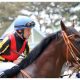 JRA・M.デムーロ「武豊やらかし」安田記念にブチギレ騒動……「生涯最高の出来」ペルシアンナイト大敗に「取材拒否」の嵐