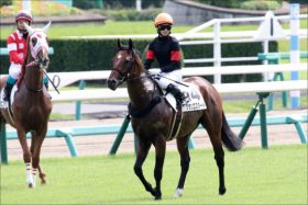 JRA藤田菜七子「今年20勝」目に見える成長の裏に「研究」と「営業」が!?