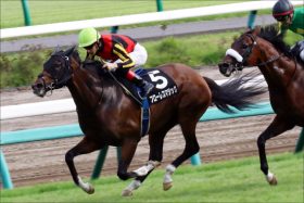 【ターコイズS（G3）展望】JRA「未完の大器」集結！ 中山マイルに飛躍誓う牝馬たちの熱い戦い