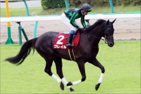 菊花賞（G1）「武豊マジック」炸裂!? エタリオウ・エポカドーロ「切り」で見えた「穴馬券」!!