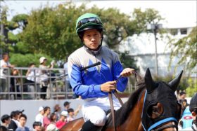 JRAマイルCS「幸英明代役」が京都騎乗経験なさすぎ!? マイル女王ジュールポレール「好走条件」は複数あるが……。