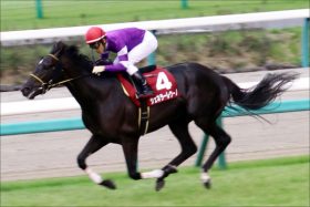 JRA「病み上がり多数」オールカマー（G2）は”リハビリ競走”!? 単勝回収率「347%」新パートナーでジェネラーレウーノが「快気祝い」をあげるか