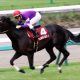 JRA「病み上がり多数」オールカマー(G2)は”リハビリ競走”!? 単勝回収率「347%」新パートナーでジェネラーレウーノが「快気祝い」をあげるか