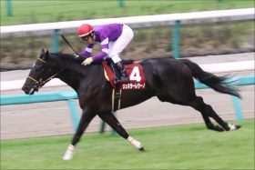 JRA菊花賞（G1）「逃げ宣言」ジェネラーレウーノの状態は……田辺裕信騎手の「さらなる飛躍」へ