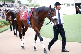 JRA浜中俊「復活」チャンス到来!? コズミックフォース「人気なし」も陣営は自信アリか