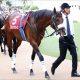 JRA浜中俊「武豊&ルメール」に騎手存続の危機!? 昨年「10年ぶり」重賞未勝利から逆襲の今シーズンも……