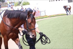 JRAスプリンターズS（G1）「香港馬」ラッキーバブルズ急浮上!? 「この馬に分がある」週末の「台風」直撃で状況激変！