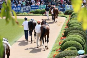 JRA史上最大に「意味深」な馬が登場？ 銀幕スターが不貞の末に産んだ「事情」の裏側!?