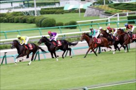 【ホープフルS（G1）枠順】良血サートゥルナーリア、ニシノデイジーの枠は？　今年最後のJRA・G1の行方やいかに!?