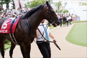 JRAルメール「再騎乗」効果は？ 良血レイエンダが「厩舎のお荷物」から脱却なるか