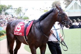 JRAマイルCS（G1）美浦でルメール×レイエンダが絶好調!?　現場ネタ情報から推せる馬発見？