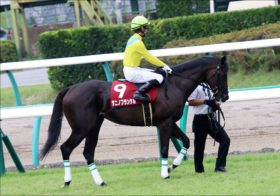 JRA鳴尾記念（G3）武豊タニノフランケル最有力！ 現場情報を駆使した「三連単勝負」決行！