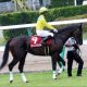 JRA安田記念(G1)武豊・騎乗停止「申し訳ない」アーモンドアイ、ダノンプレミアムら”大外刈り”でレース崩壊……28年前「メジロマックイーンの悪夢」再び
