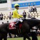 JRA秋華賞(G1)武豊「賛否両論」3着の真相!? 最強女王アーモンドアイを「本気」にさせた”ガチ”騎乗の裏側