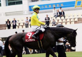 【鳴尾記念（G3）展望】武豊タニノフランケルが宝塚記念に王手!? 飛躍・復活を狙うクセ馬たちの競演