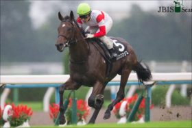 JRA「ロードカナロア正統後継？」ダノンスマッシュ飛躍の試金石。能力抜群も「戦績」は信用ならずか