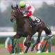 【高松宮記念(G1)展望】武豊モズスーパーフレアVS龍王2世ダノンスマッシュ! 藤田菜七子「復活」スノードラゴンにも注目!!