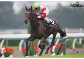 JRAスプリンターズS（G1）登録馬決定！ 「悲願」ダノンスマッシュVS「夏王者」タワーオブロンドン、春の短距離王ミスターメロディなど