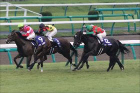 JRA北九州記念（G3）サマースプリントシリーズ優勝へ向け、ここも“全力投球”!? 一皮むけた「夏女」が狙うはただ一つ……小倉のマウンドで“完封勝利”！