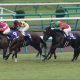 JRAシルクロードS(G3)1200m「覚醒」レッドアンシェルに要注目!!
