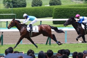 すみれSは「1点勝負」で余裕!?　JRA岩田アドマイヤジャスタの「相手」はこいつだ！