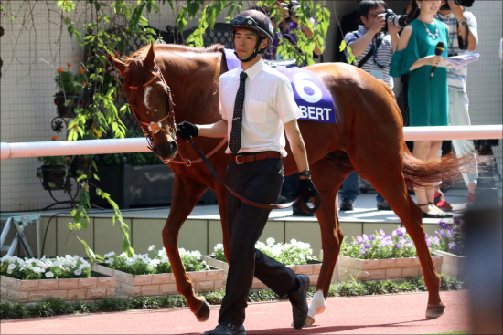 JRAスピード競馬全盛時代の異端児か!? ステイヤーズS（G2）「全集中」で偉業を狙い撃ち…… 年2戦も「予定通り」の裏事情とはの画像2