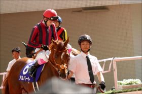 JRA「史上初」大記録へアルバート出陣！ ステイヤーズS（G2）「同一重賞4連覇」で12年続く”名門の証”繋ぐ