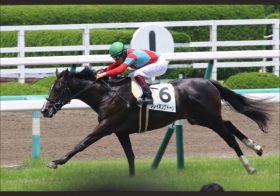 JRA弥生賞（G2）「穴に一考」ブレイキングドーン。福永祐一、陣営の「選択」は