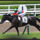 【弥生賞(G2)】【チューリップ賞(G2)】枠順確定!! トライアルレースを制してクラシックに弾みをつけるのは……