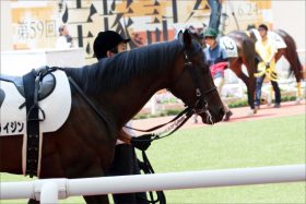 JRA秋華賞「サイン」波瑠降臨で大荒れ確実!? 超大穴が「伝説のレース」再現で三冠目前アーモンドアイ危うし？