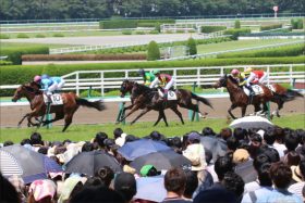 JRA菊花賞「サイン」は”嵐”を呼ぶ男・松坂桃李!? 最強相性を誇る「アノ穴馬」の激走フラグに要注意！