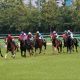 JRA「超豪華天皇賞・秋」にダノンプレミアム勝機あり? 立ち塞がる「歴戦の古馬勢」