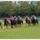 JRA「単勝229倍」ピンハイ激走は当然!? 昨年フィリーズレビュー(G2)も11番人気3着好走…驚異的「阪神キラー」あの種牡馬に要注意!