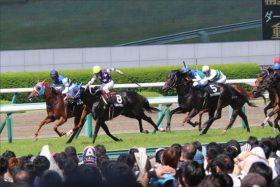 JRA秋G1「ゴドルフィン旋風」の兆し？ ステイゴールド「最後の大物」が菊花賞挑戦を高らかに宣言