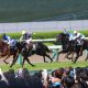 JRA牡馬2冠へ! 菊花賞(G1)エポカドーロ「圧倒的先行力」「策士・藤原厩舎×戸崎圭太」課題は母方の血?